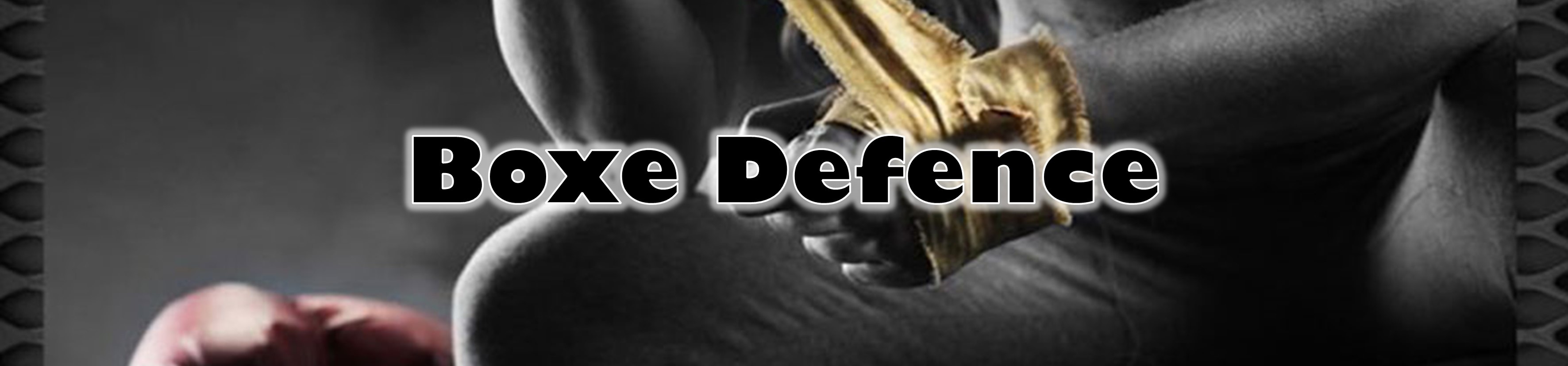 Boxe Defence